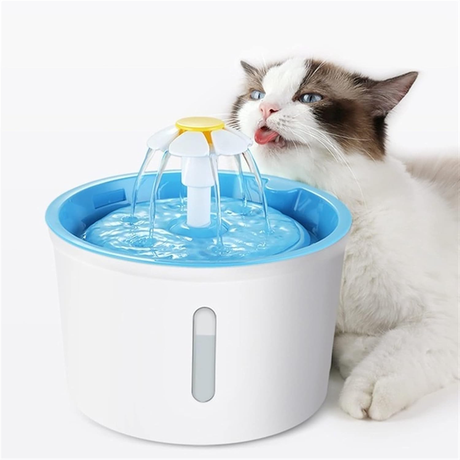 PET WATER DISPENSER