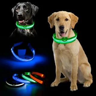 Pet Collar