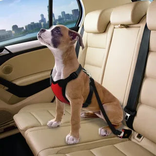 PET CAR SEAT BELT